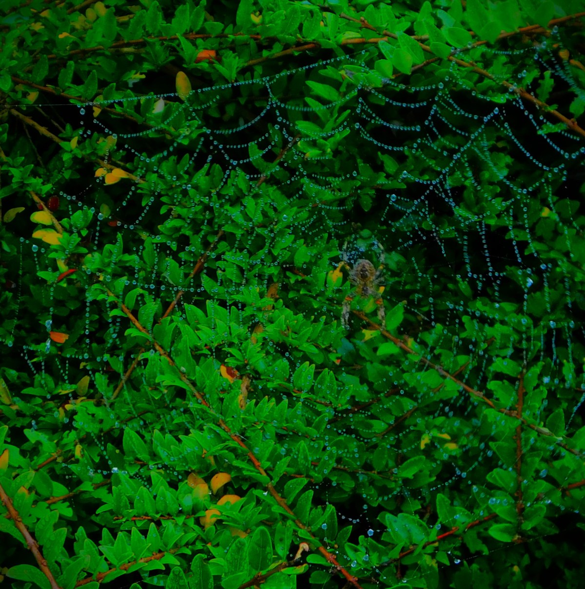 England in Trouble in&nbsp;Rawalpindi