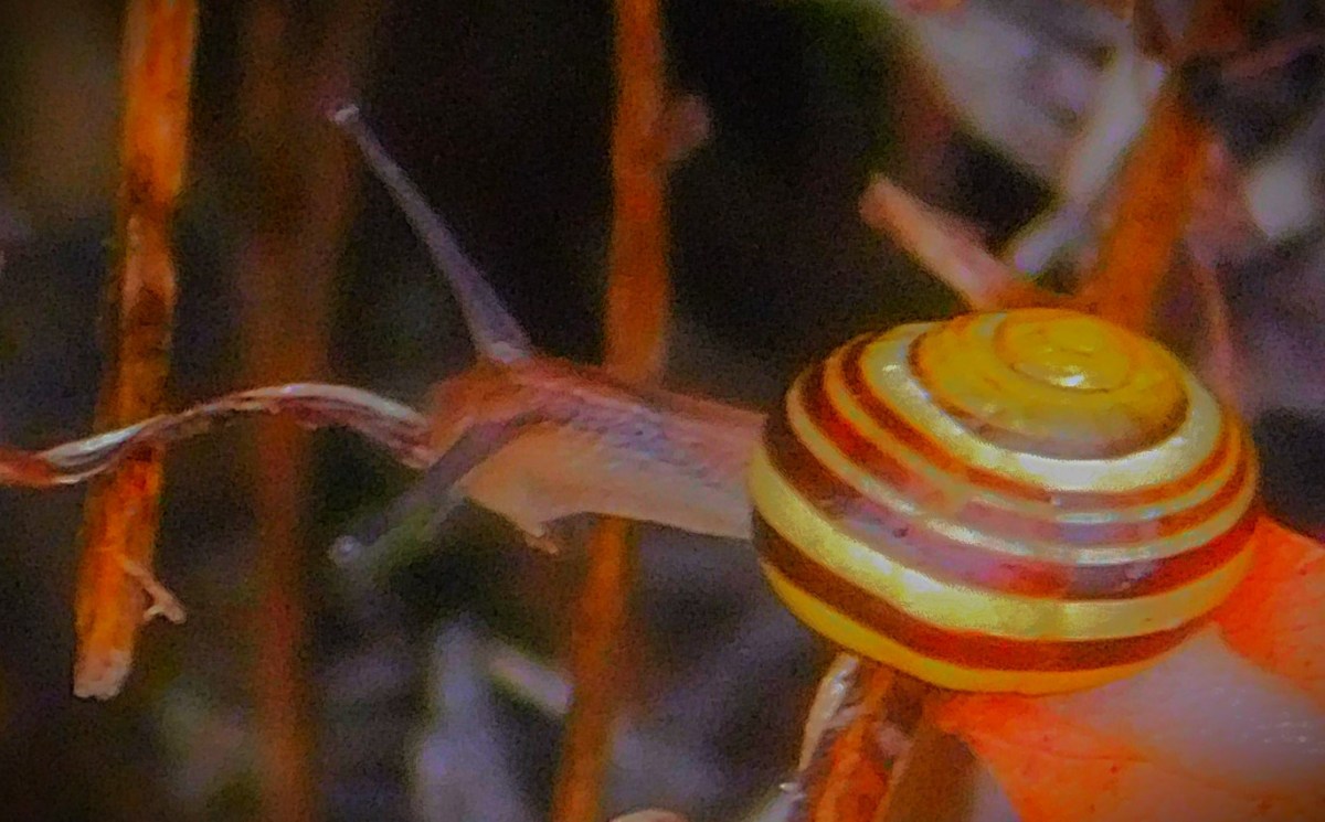 Thunder Blown Away by&nbsp;Hurricanes