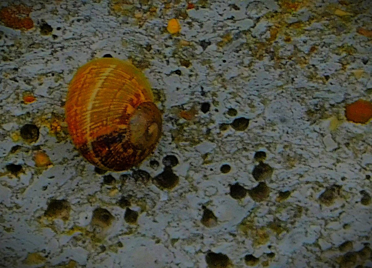 A One Woman Show in&nbsp;Sydney