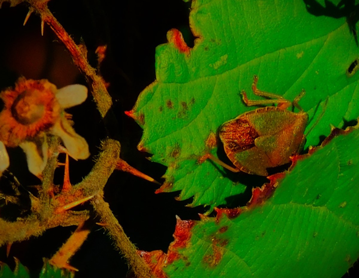 Strikers Struck Down