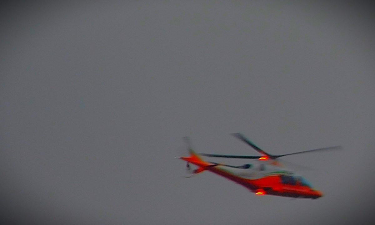 A New Talent&nbsp;Emerges