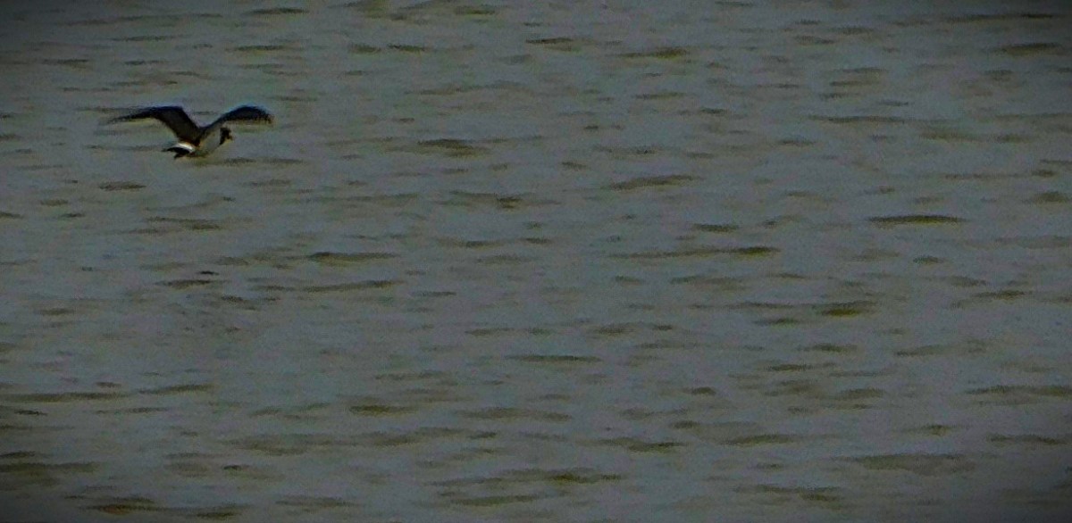 Two Very Different BBL&nbsp;Matches