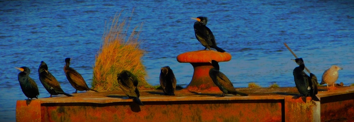 A Morning Spent on&nbsp;Foot