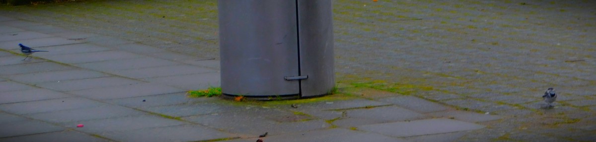 England Win In Six&nbsp;Nations