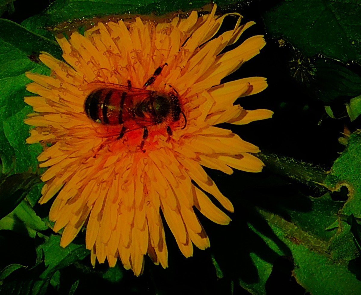 County Championship Day&nbsp;Three