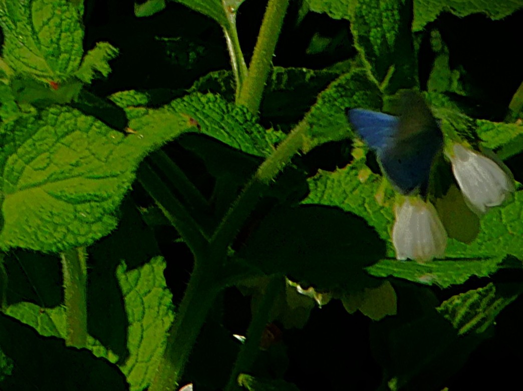 The Closing Stages of the County Championship Round&nbsp;Two