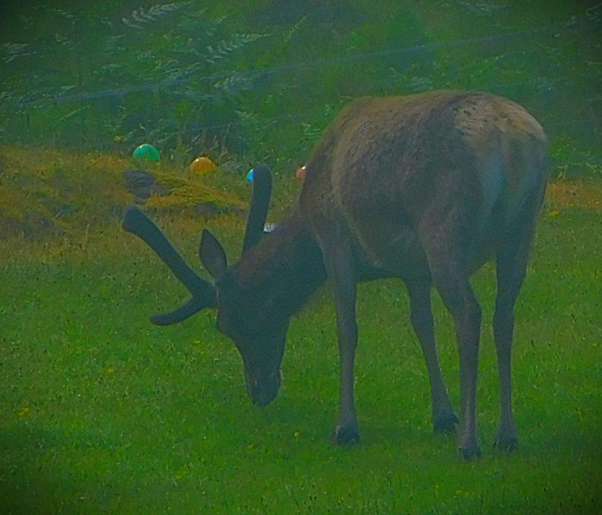 50th Birthday Holiday 9: Achosnich and&nbsp;Portuairk