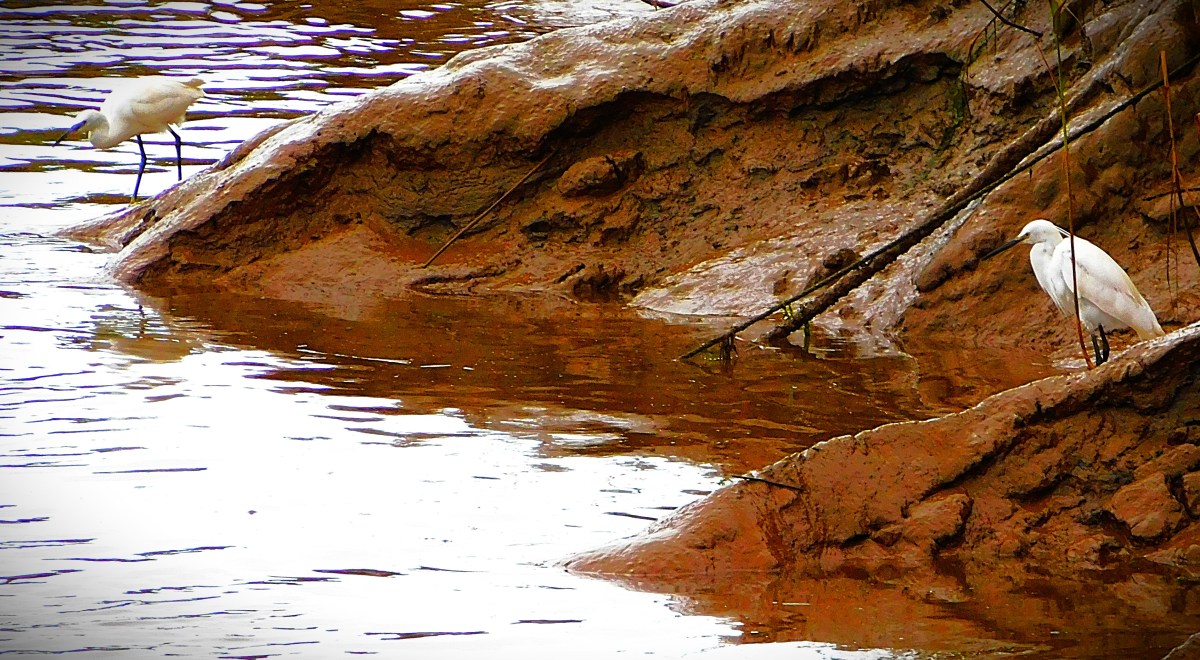 England Women In Euros&nbsp;Final