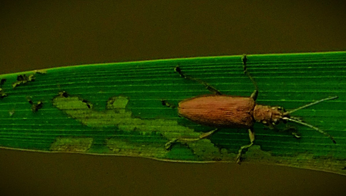 Heading for a Draw at Old&nbsp;Trafford