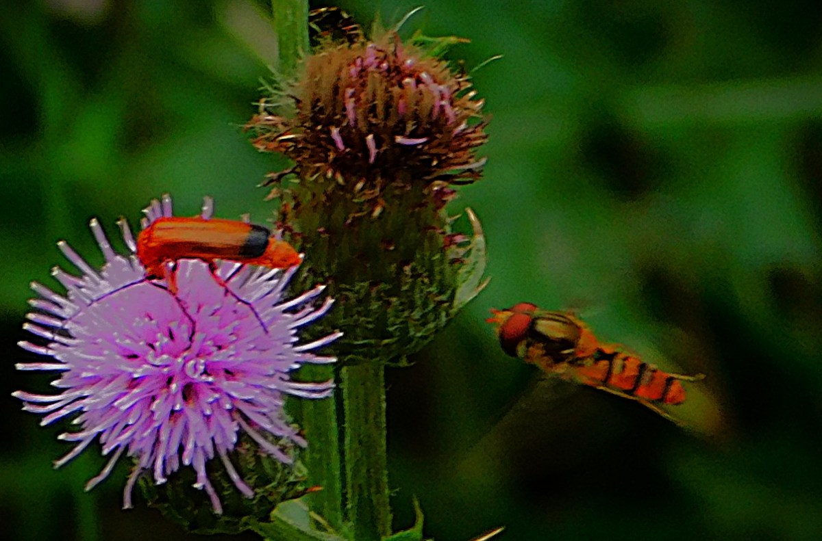 A Story in the&nbsp;Making