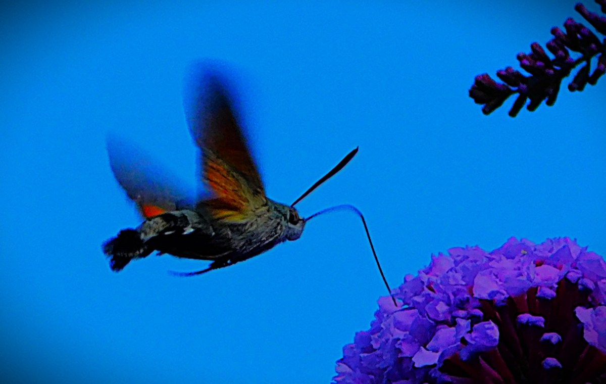 Young Talent Comes to the&nbsp;Fore