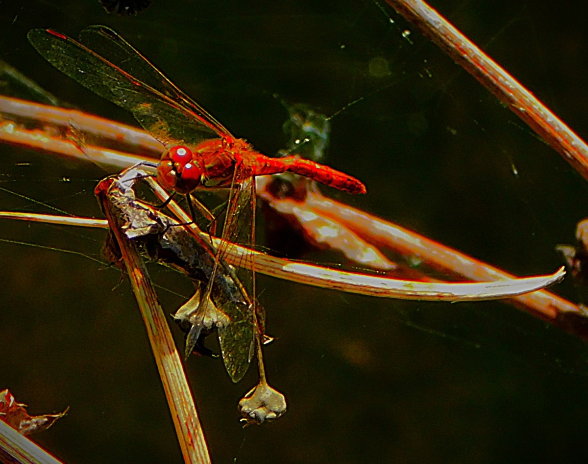 A Nailbiter in&nbsp;Manchester
