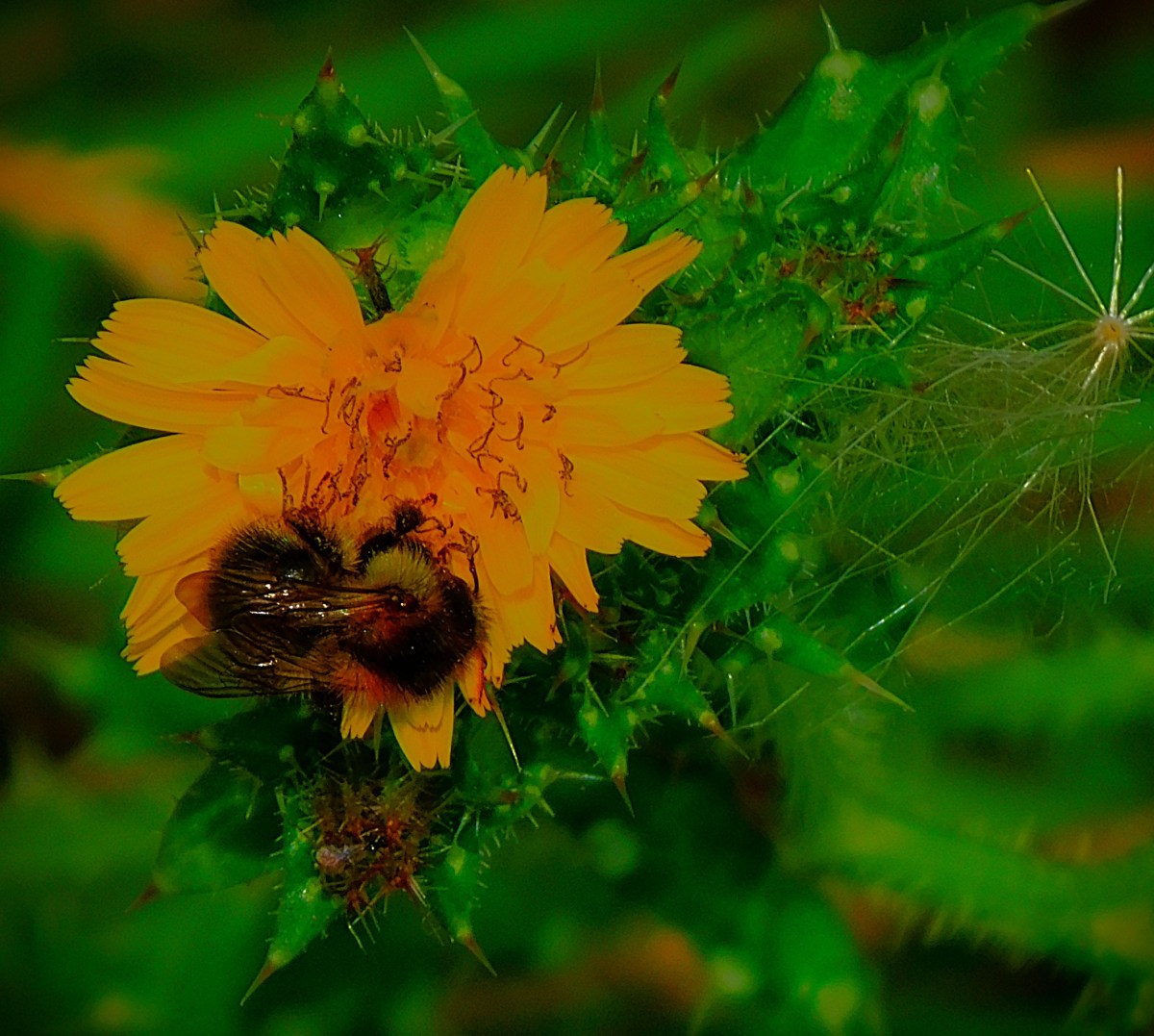 An Unexpectedly Close&nbsp;Finish