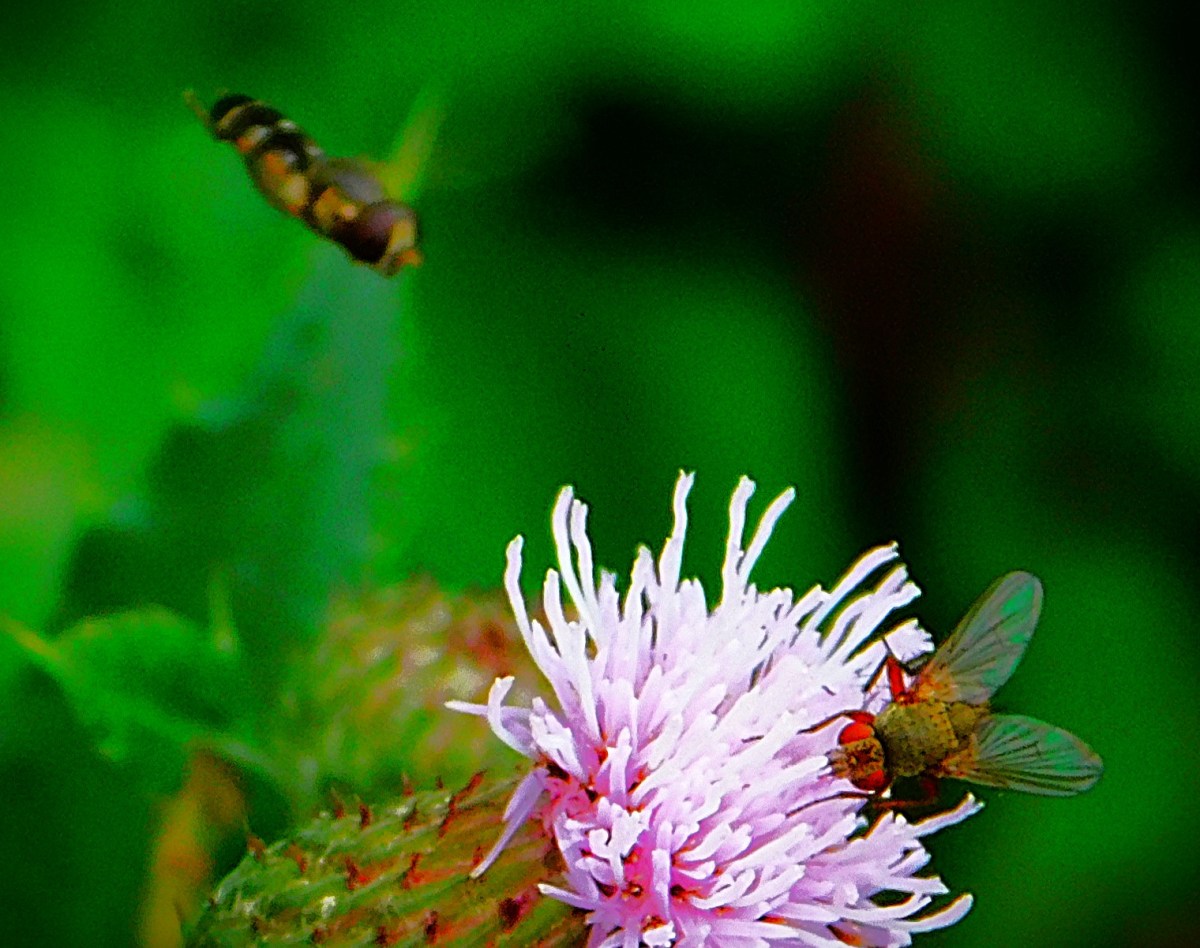 Three Teams, Two&nbsp;Spots