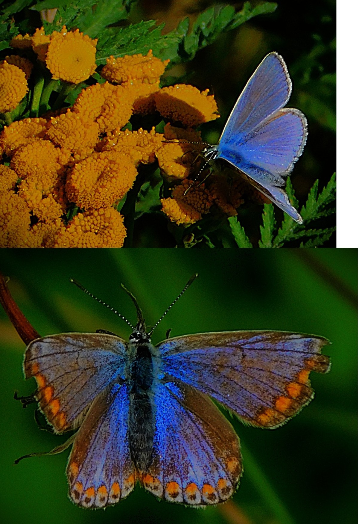 An Unexpected Final&nbsp;Day