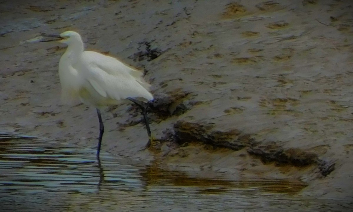 The Vitality Blast Quarter&nbsp;Finals