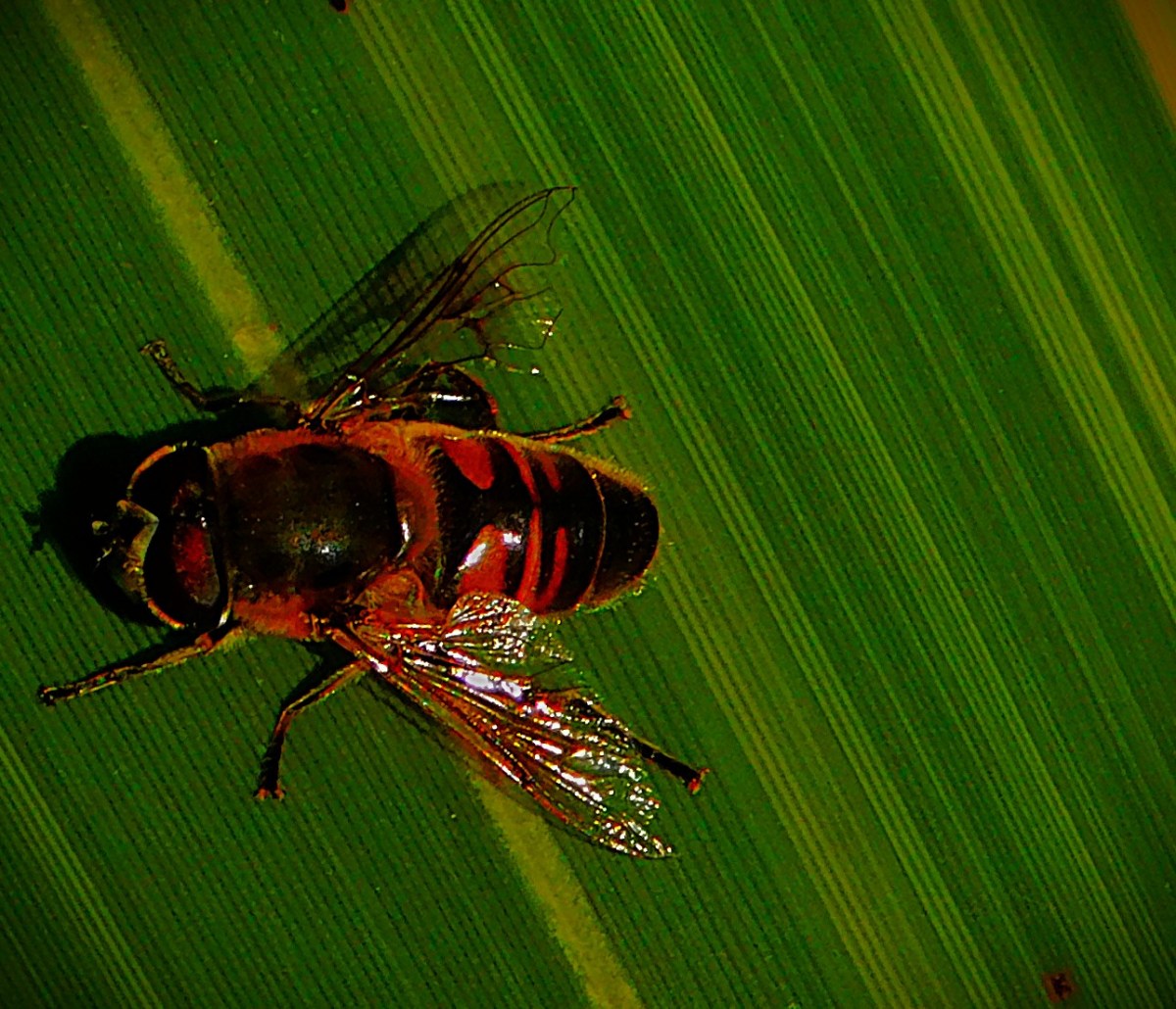 More Record Breaking from&nbsp;England