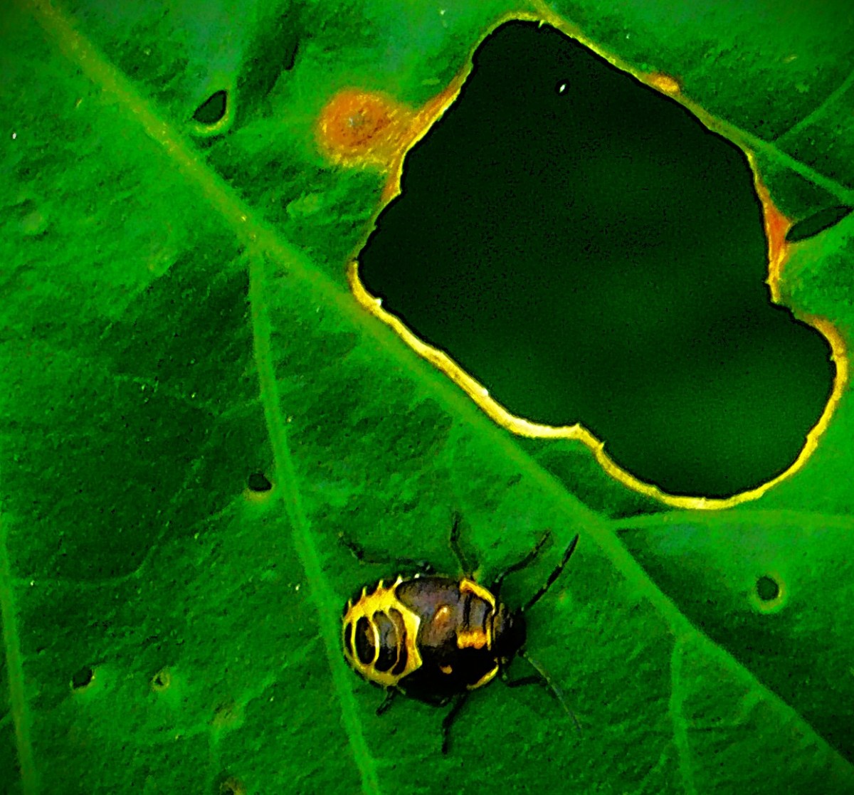 Some Sporting Highlights