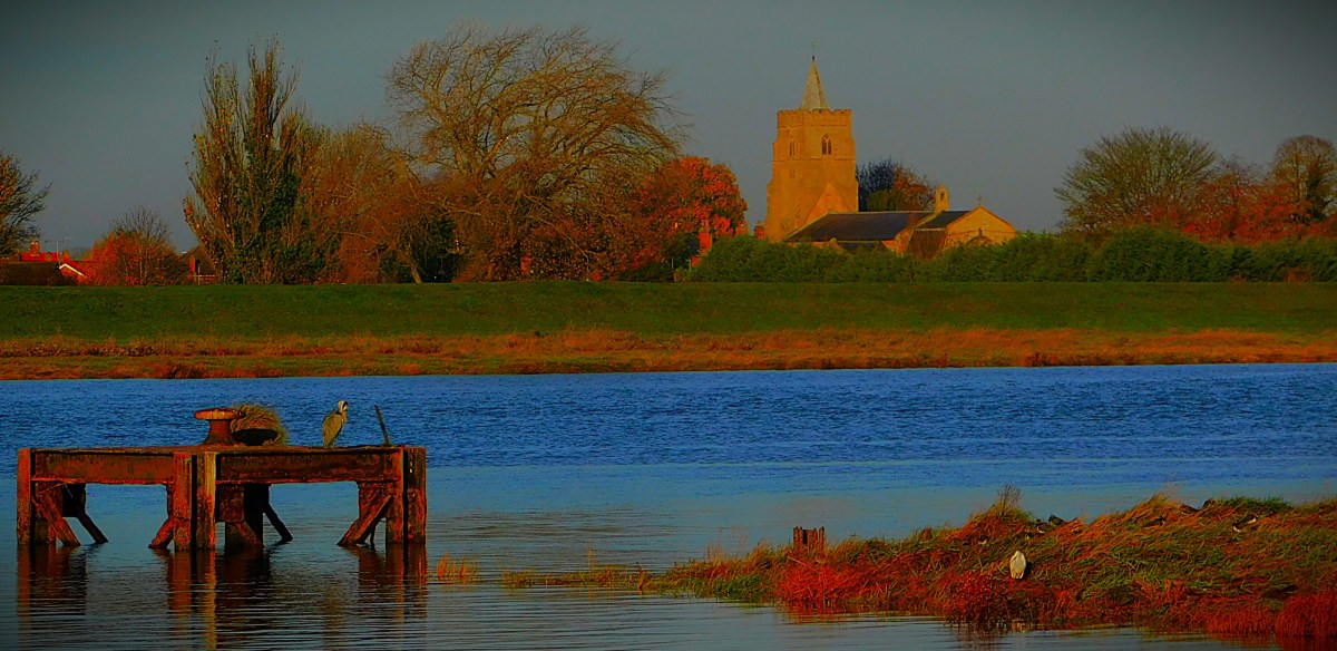 Sixers Smash Scorchers