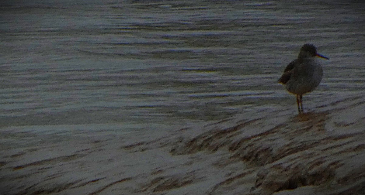 Renegades Blown Away by&nbsp;Hurricanes