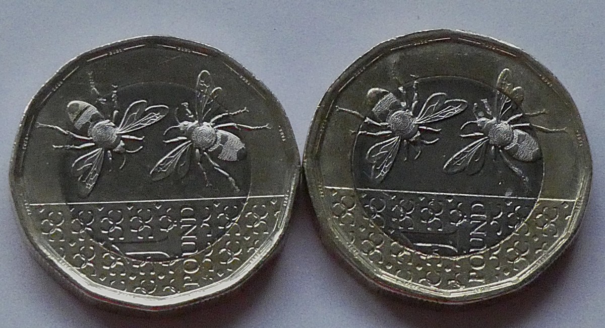 The Reverses of two Charles III £1 coins. These small dodecagonal coins have gold coloured edges, silver middles, and these feature a picture of a pair of bees.