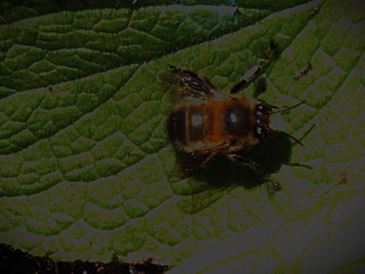 The Six Nations&nbsp;2026