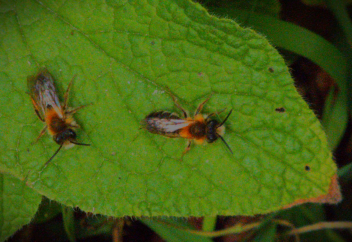 Warwickshire Take 216 Run First Innings&nbsp;Lead