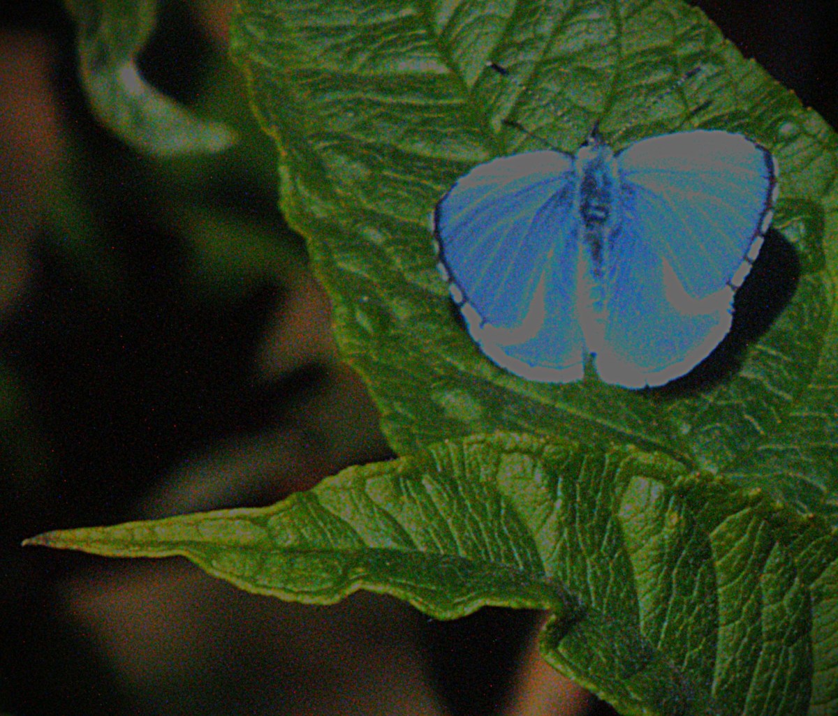 Match Drawn at&nbsp;Edgbaston