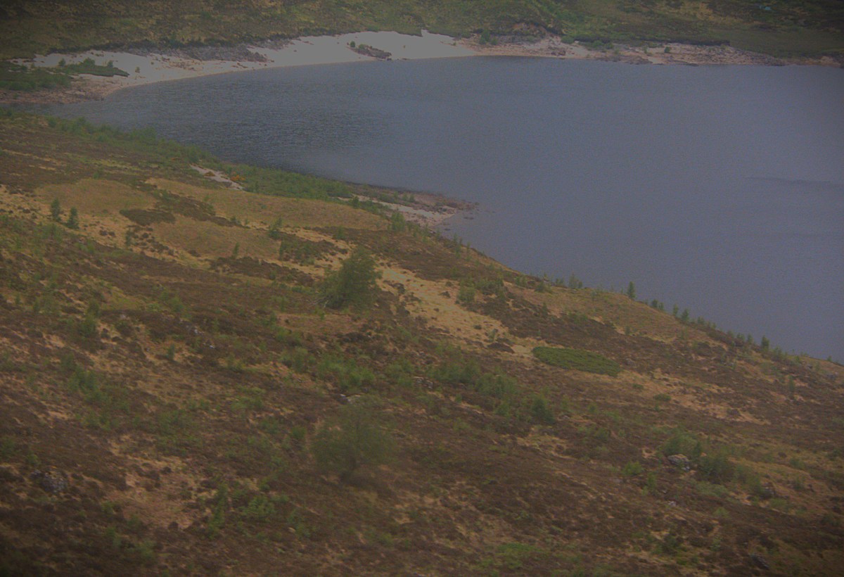 A good view of part of a loch from the window of the train.